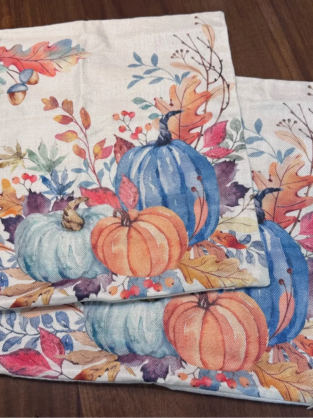 2 Fall Pumpkin Pillow Covers 19.5x-19.5Blue Orange Watercolor Autumn-0212